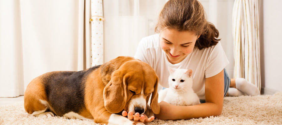 How to Make Dog Care Easier for Busy Pet Owners